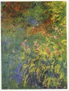 Claude Monet Irises, 1914-17 France oil painting reproduction